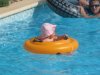 IMG_0814.jpg